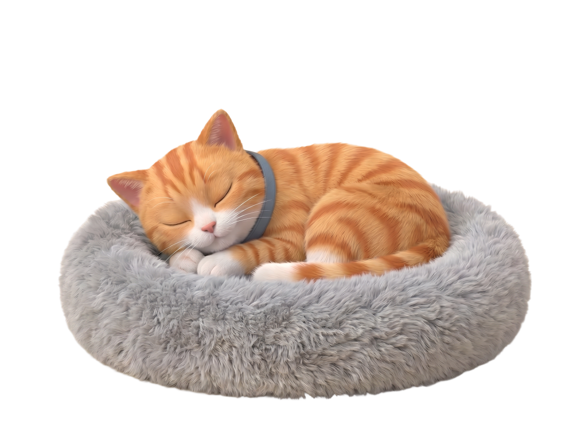 Спящий котёнок в лежанке